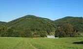 Percorso A piedi Stattegg - Wanderweg 26 - Photo 10