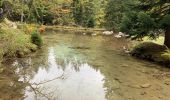 Tour Wandern Saint-Martin-Vésubie - Le Boreon  - Photo 3