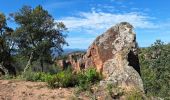 Trail Walking Roquebrune-sur-Argens - La Bouverie - Gorges du Blavet - Grotte du Muéron - Photo 13