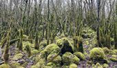 Excursión Senderismo Dortan - Boucle sur les hauteurs de Dortan  - Photo 7