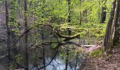 Randonnée Marche Esneux - autour du parc du Mary - variante  - Photo 9