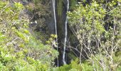 Trail Walking Salazie - Boucle Col de Fourche depuis Le Belier - Photo 4