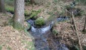 Tocht Te voet Schöllkrippener Forst - Schwarzer Fuchs, Rundwanderweg Sommerkahl - Photo 9