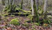 Randonnée Marche Velars-sur-Ouche - La cude - Photo 8