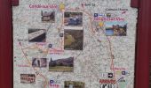 Tour Wandern Torigny-les-Villes - Les Roches de Ham - Photo 1