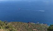 Randonnée Marche Saint-Raphaël - Le tour du Cap Roux depuis Belle Barbe - Photo 1