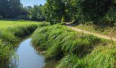 Tour Wandern Buc - 240729 Minière et Buc - Photo 4