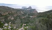 Trail Walking La Ciotat - La Ciotat les crêtes le 04/12/2019 - Photo 1