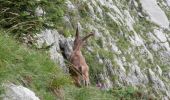 Tocht Stappen Glières-Val-de-Borne - lac de lessy_paradis - Photo 16