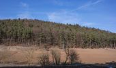 Tour Zu Fuß Illschwang - Illschwang Wanderweg 6 - Photo 8