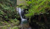 Tour Wandern Baztan - Infernuko errota - le moulin de l'enfer 2024/02/20. - Photo 6