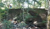 Randonnée Marche Trélans - Les Prades à Pratnau Rives - Photo 1