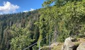 Randonnée Marche Le Valtin - Sentier des roches - Photo 10