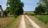 Trail Walking Huismes - Huismes - les Fontaines d'Ozon GR3 - 15.9km 170m 3h35 - 2022 07 17 - Photo 6