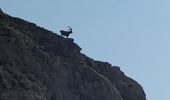 Tocht Stappen Le Reposoir - BARGY: COL D'ENCRENAZ - PETIT BARGY - TETE DES BECUS - Photo 5