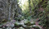 Percorso Marcia Saint-Siméon-de-Bressieux - Canyon des Gueulards - Photo 8