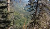 Tocht Stappen Le Valtin - Col de la Schlucht - sentier des Roches - Petit Honneck - Honneck - Trois Fours - Photo 13