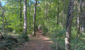 Trail Walking Amagney - Amagney Ferme de Rufille Marchaux Amagney  - Photo 6
