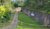 Trail Walking Molsheim - Molsheim - Fort de Mutzig - Balade dans les vignes - Photo 6