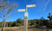 Trail Walking Signes - Montée vers le plateau de la Limatte en partant de Signes  - Photo 18