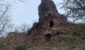 Randonnée Marche Murol - Tours de Murol  - Photo 4