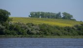 Tour Zu Fuß Nieby - KonikWeg - Photo 7