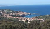 Tocht Stappen Collioure - autour de Collioure a travers les vignes - Photo 9