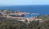 Trail Walking Collioure - autour de Collioure a travers les vignes - Photo 9