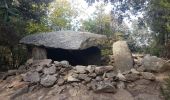 Tour Wandern Laroque-des-Albères - laroque départ Paul  - Photo 1