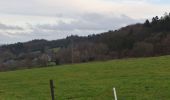 Tour Wandern Limburg - 20211206 - Limbourg 7.4 Km - Photo 16