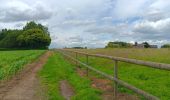 Tocht Stappen Burdinne - marche adeps Burdinne  - Photo 20