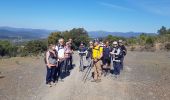 Trail Walking Pierrefeu-du-Var - PIERREFEU RAVANAS - Photo 14