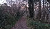 Trail Walking Hamoir - comblain la tour . hoyemont . oneux . comblain la tour - Photo 3