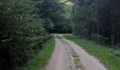 Trail Trail Arfons - raf ballade - Photo 12