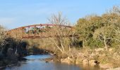 Randonnée Marche Vidauban - Vidauban - Cascades de l'Aille - Photo 1