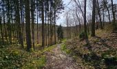 Tour Wandern Viroinval - Balade à Le Mesnil - Viroinval - Photo 8