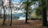 Trail Walking Pissotte - Lac de Mervent - Gd tour depuis Pissotte  - Photo 11