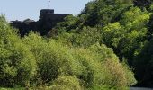 Tocht Stappen Bouillon - rando botassart 24-05-2023 - Photo 10