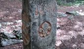 Trail Walking Chapelle-des-Bois - Chapelle des Bois Lac des Mortes 3 sept 2020 CAF - Photo 5