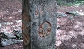 Tocht Stappen Chapelle-des-Bois - Chapelle des Bois Lac des Mortes 3 sept 2020 CAF - Photo 5