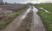 Trail Walking Ninove - Galgenveld - Photo 9