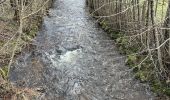 Tour Wandern Picherande -  Boucle lac chauvet (rénover )o - Photo 10