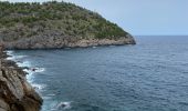 Tocht Stappen Deià - GR221 # Deià - Muleta - Puerto de Soller - Photo 1