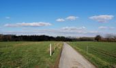Percorso Marcia Gembloux - Corroy / Grand-Manil - Photo 8