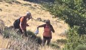 Trail Walking Vialas - mas de la barque - Photo 10