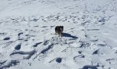 Excursión Raquetas de nieve Beuil - St ANNE - Photo 4