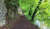 Trail Walking Hamoir - comblain la tour . xhygnesse . comblain fairon . comblain la tour - Photo 8