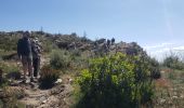 Excursión Senderismo La Garde-Freinet - Fort Freinet et les roches blanches - Photo 17