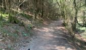 Trail Horseback riding Neufchâteau - Cousteumont Ospau - Photo 3