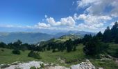 Tour Wandern Châtillon-en-Diois - Vallon de Combau  - Photo 3